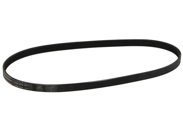 Ремінь поліклиновий DAYCO 5PK975