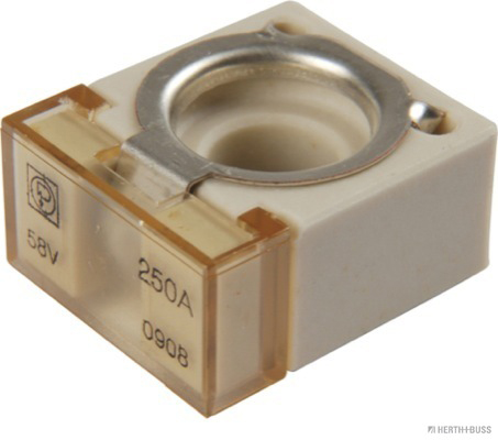 Запобіжник більше 10A BUSS ELPARTS HBE 50295887