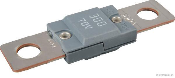 Запобіжник більше 10A BUSS ELPARTS HBE 50296708